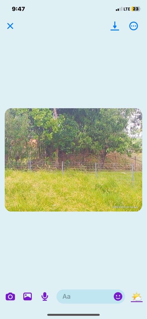 (Category: ) located in . Submitted by authenticlowprice (Listing ID 1255903329, Image 1). Description: .
