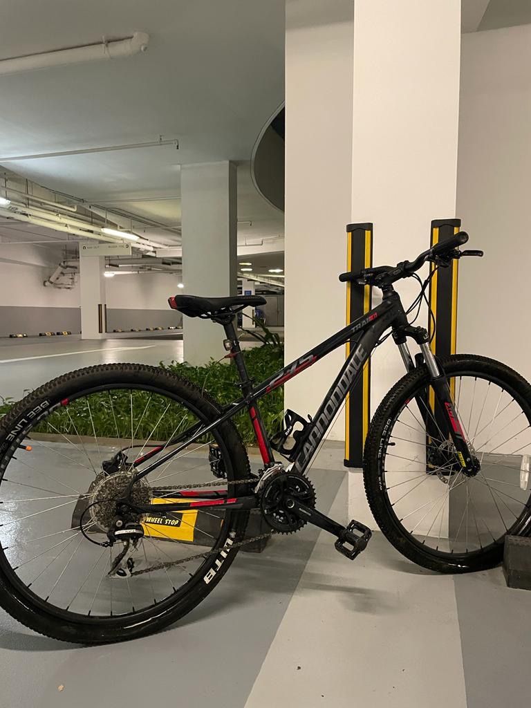Cannondale trail 6 2016 sales