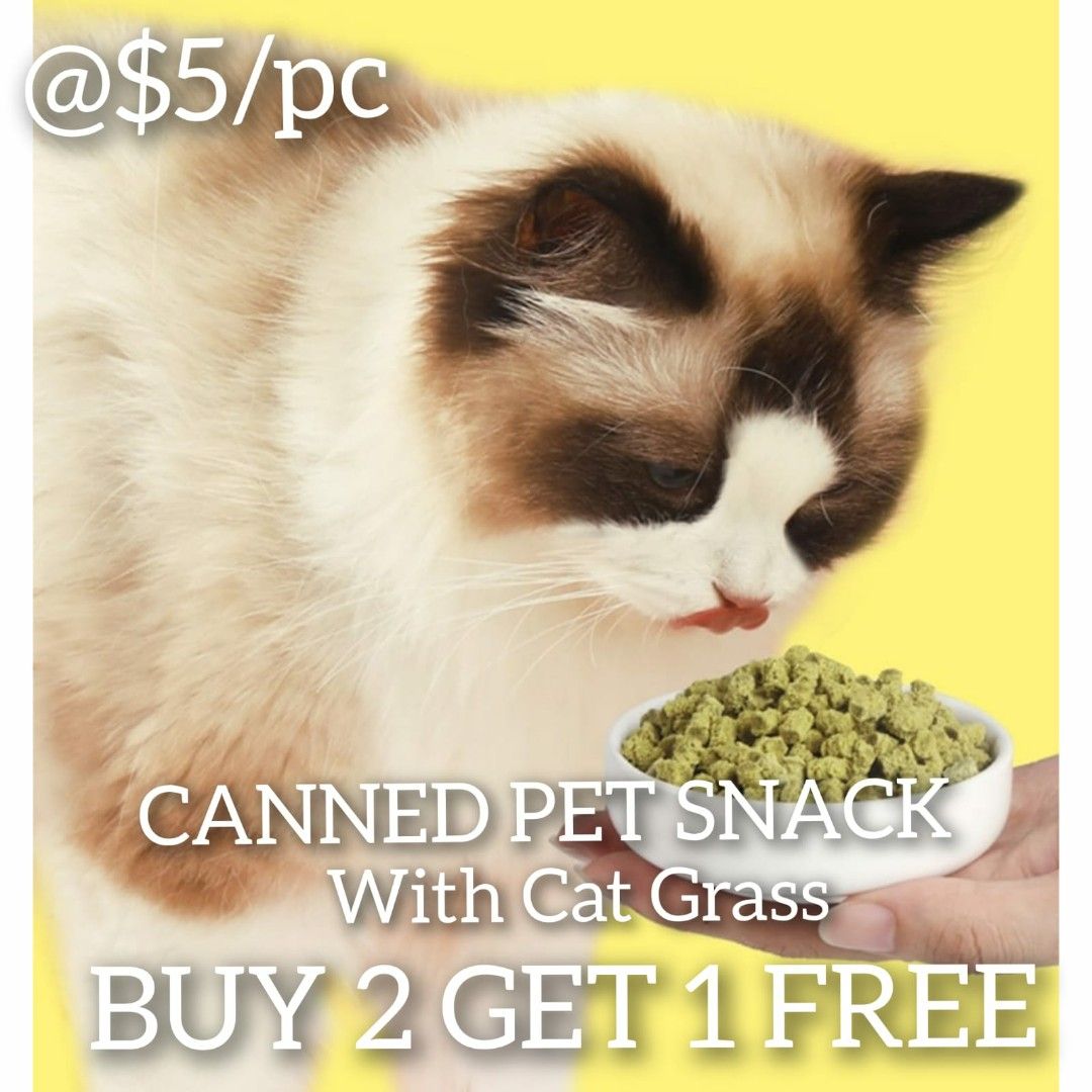 Cat food to clearance help with smelly poop