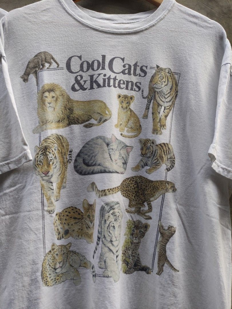 Cool cats and shop kittens shirt