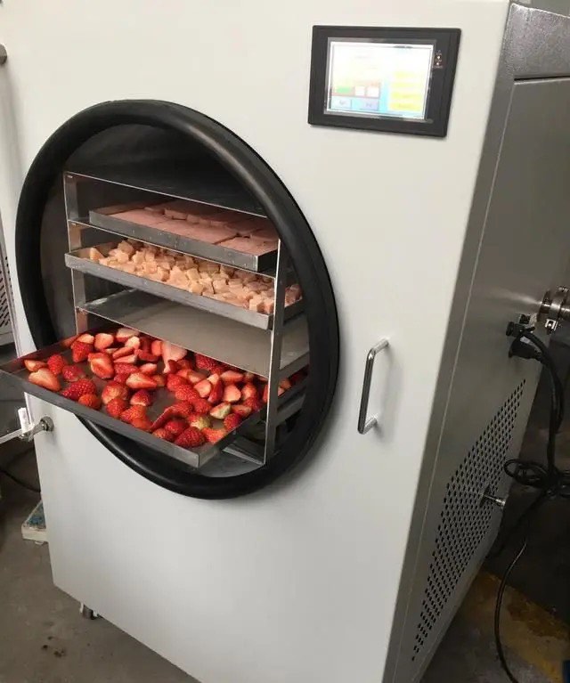 Freeze drying service freeze dryer, TV & Home Appliances, Kitchen