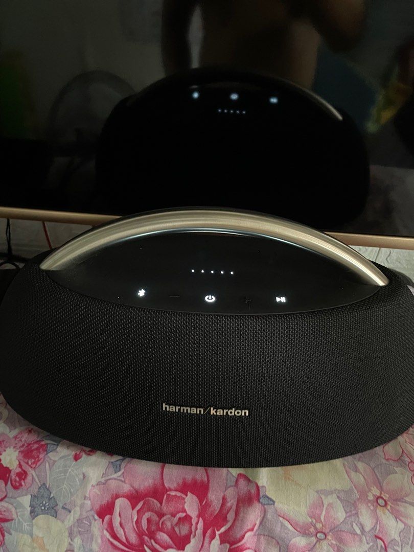 HARMAN KARDON GO PLUS PLAY, Audio, Soundbars, Speakers & Amplifiers on ...