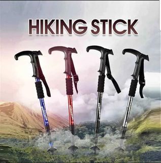 Hiking stick