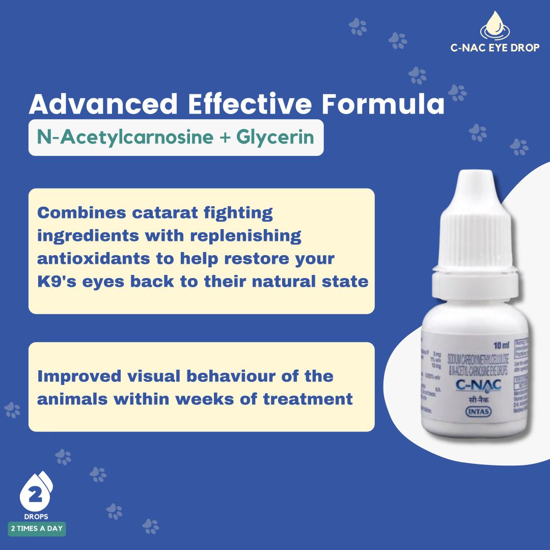 Cataract drops for top dogs