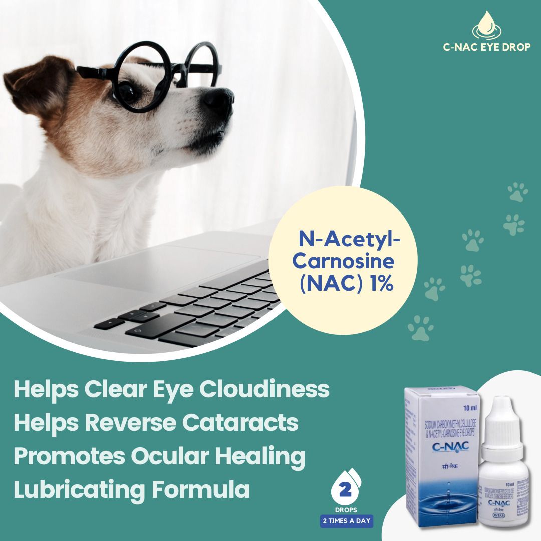 Nac drops for dogs sale