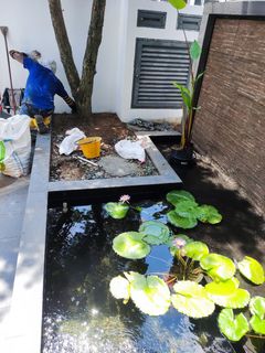 (Category: ) located in . Submitted by aquaticsolutions (Listing ID 1255856715, Image 1). Description: .