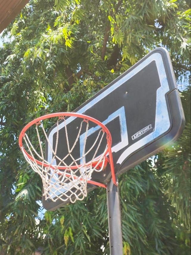 Lifetime 44" Basketball Court Impact Backboard, Sports Equipment, Other Sports Equipment and