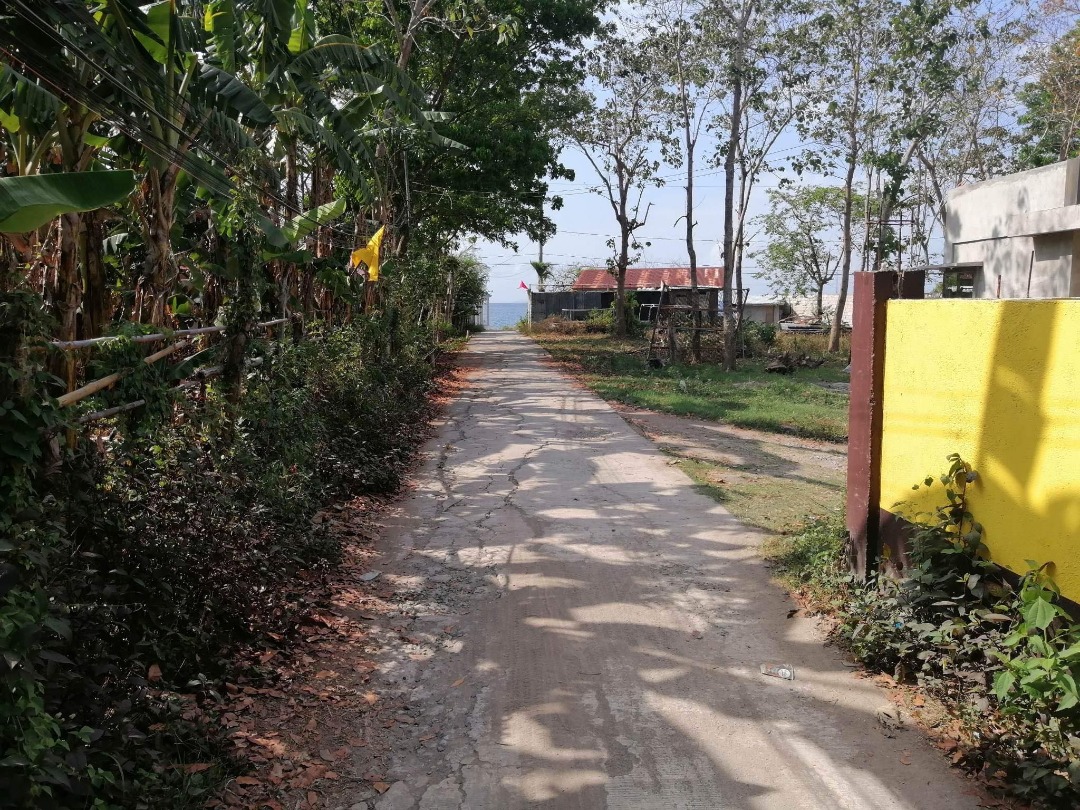 Lobo batangas beach house for sale, Property, For Sale, House & Lot on