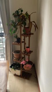 (Category: ) located in . Submitted by KatyC (Listing ID 1255832897, Image 1). Description: .