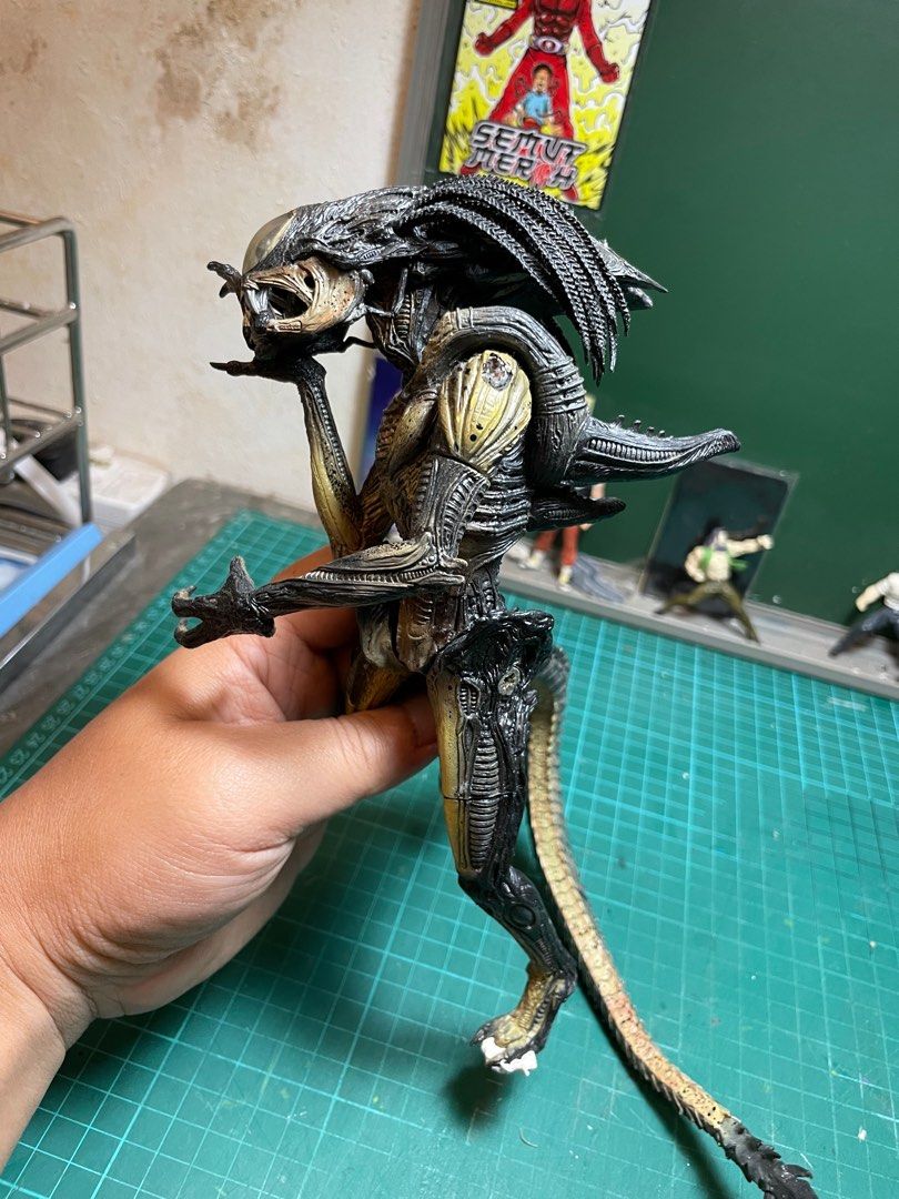 Neca predator predalien Hobbies Toys Toys Games on Carousell
