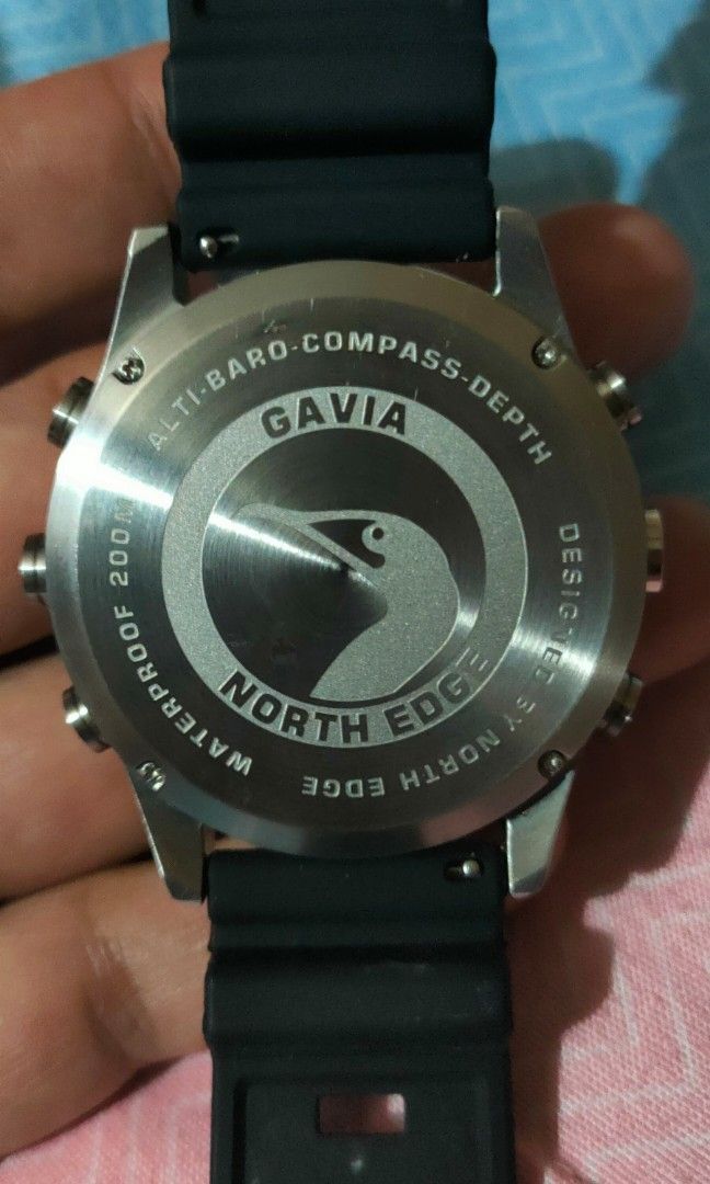 Gavia 2 north 2025 edge