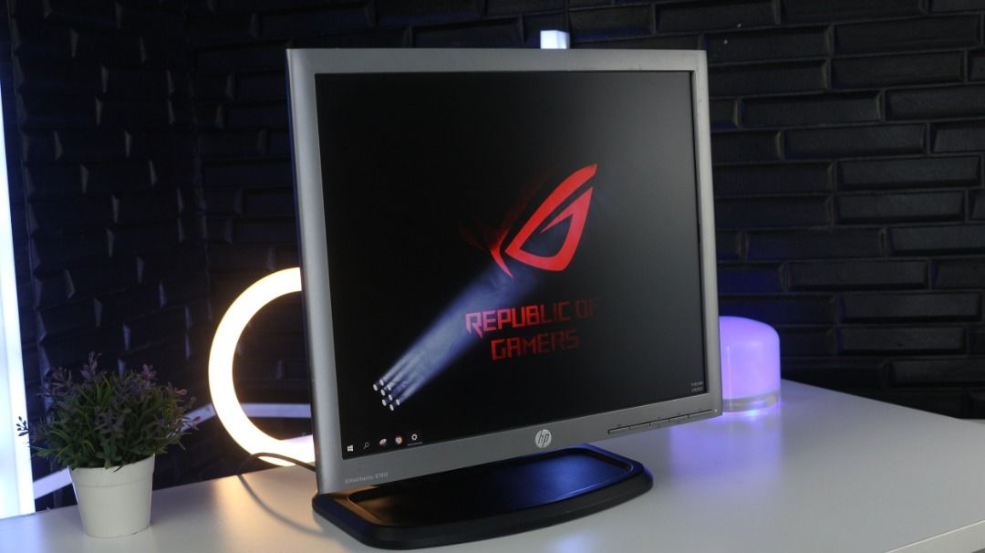 ROTATABLE IPS MONITOR 19