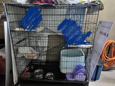 (Category: ) located in . Submitted by tan.wilson (Listing ID 1255779536, Image 1). Description: .