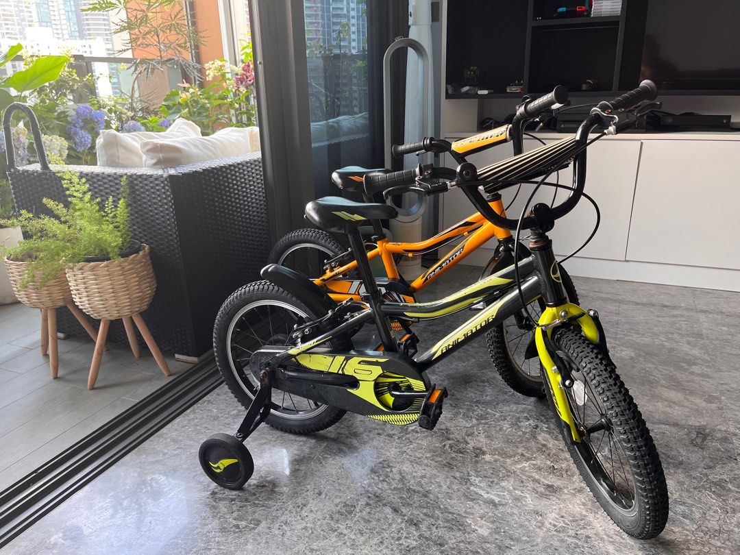 Giant brand Training wheel bikes Sports Equipment Bicycles Parts Bicycles on Carousell