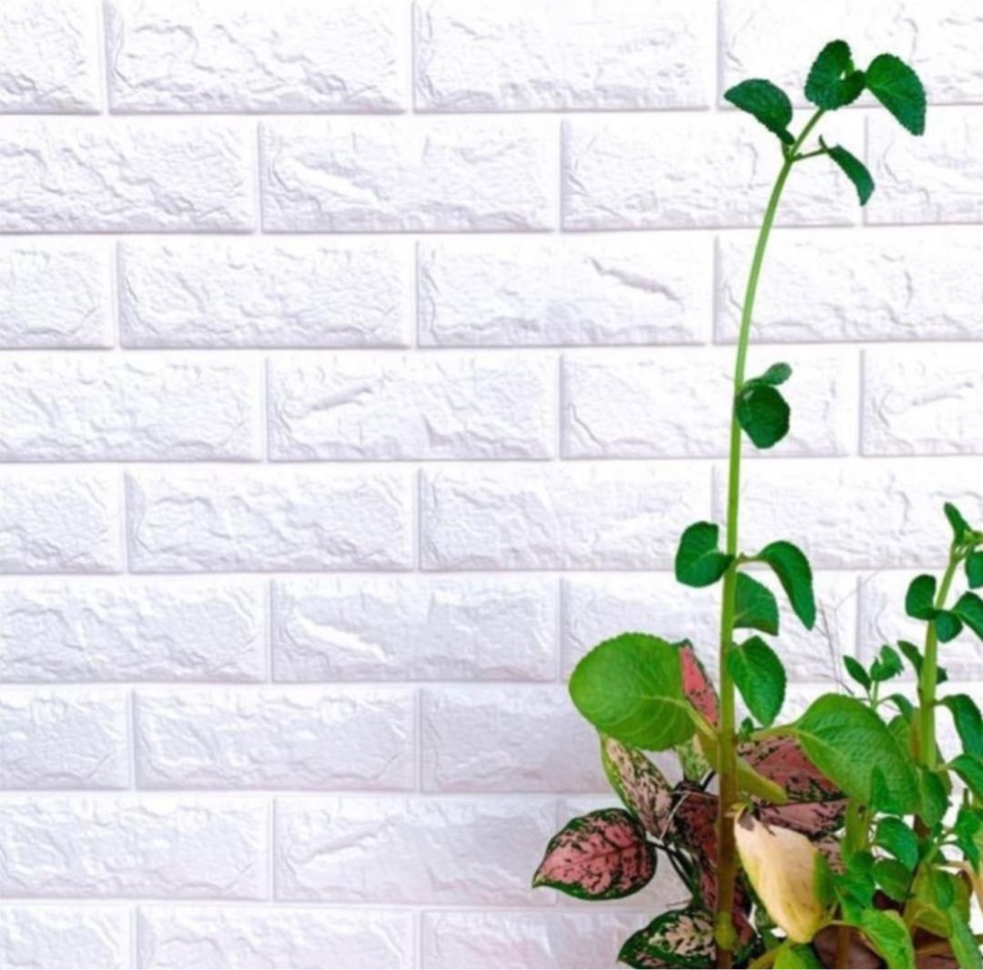 3D Wallpaper Bulk Sale SelfAdhesive, Home Services, Renovations