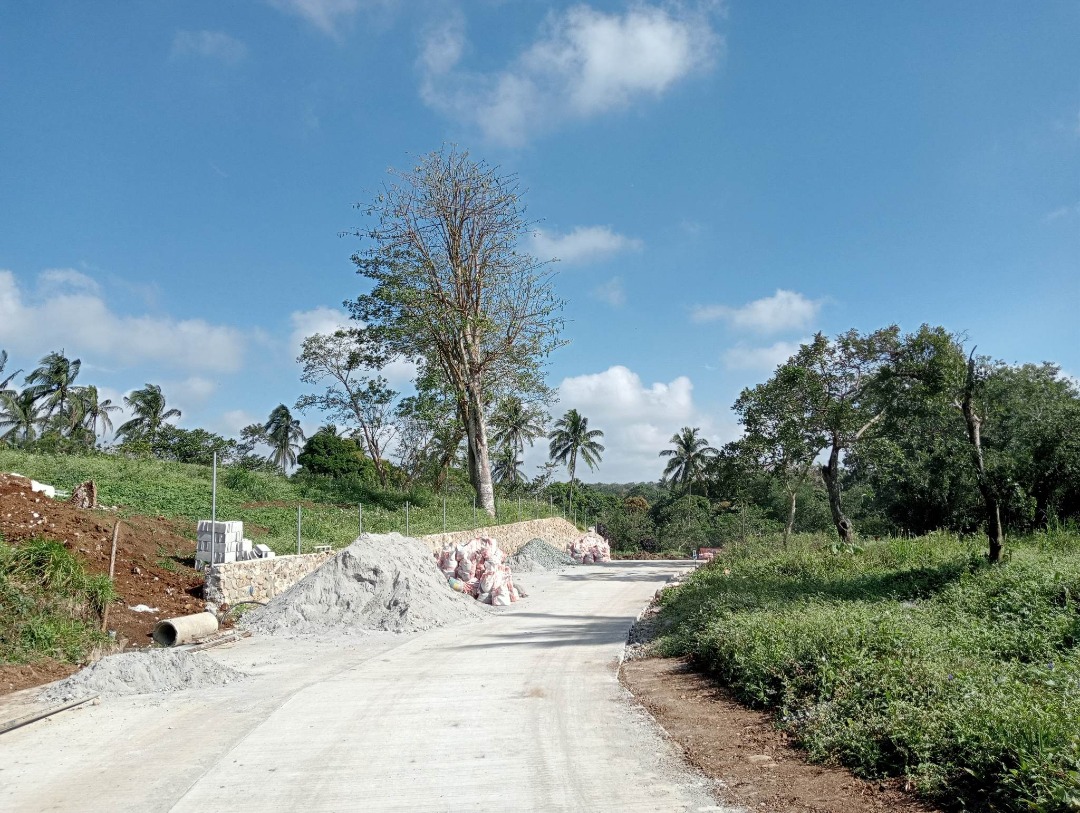 Agricultural farm lot for sale with 1000 sqm near Tagaytay, Property