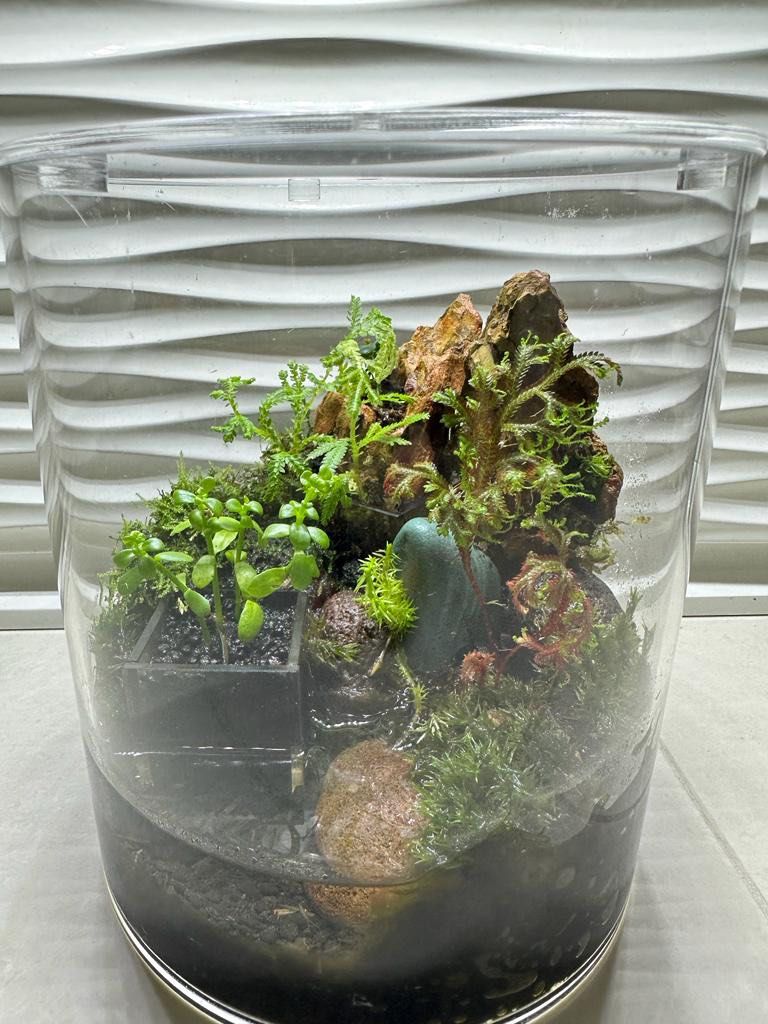 Aqua Terrariums for sale, Furniture & Home Living, Gardening, Plants