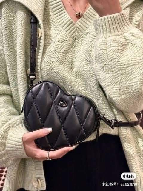 Authentic Coach Bag for Women Women s Fashion Bags Wallets
