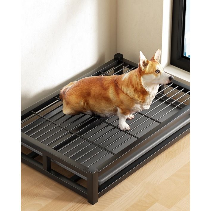 Dog potty seat hot sale