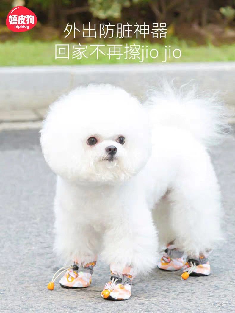 Dog shoes