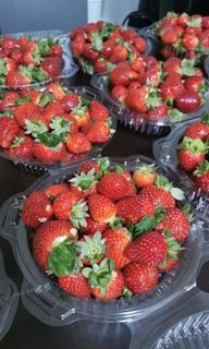 Fresh Strawberry 🍓