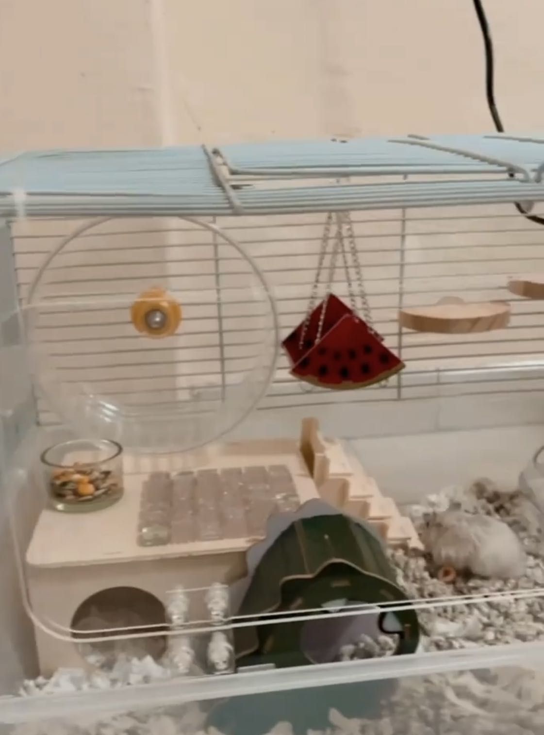 Picture of Hamster Cage bungalow, Pet Supplies, Homes & Other Pet Accessories on ...