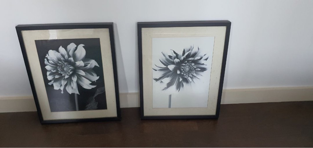 IKEA Ribba Frame Black 40x50cm, Furniture & Home Living, Home Decor