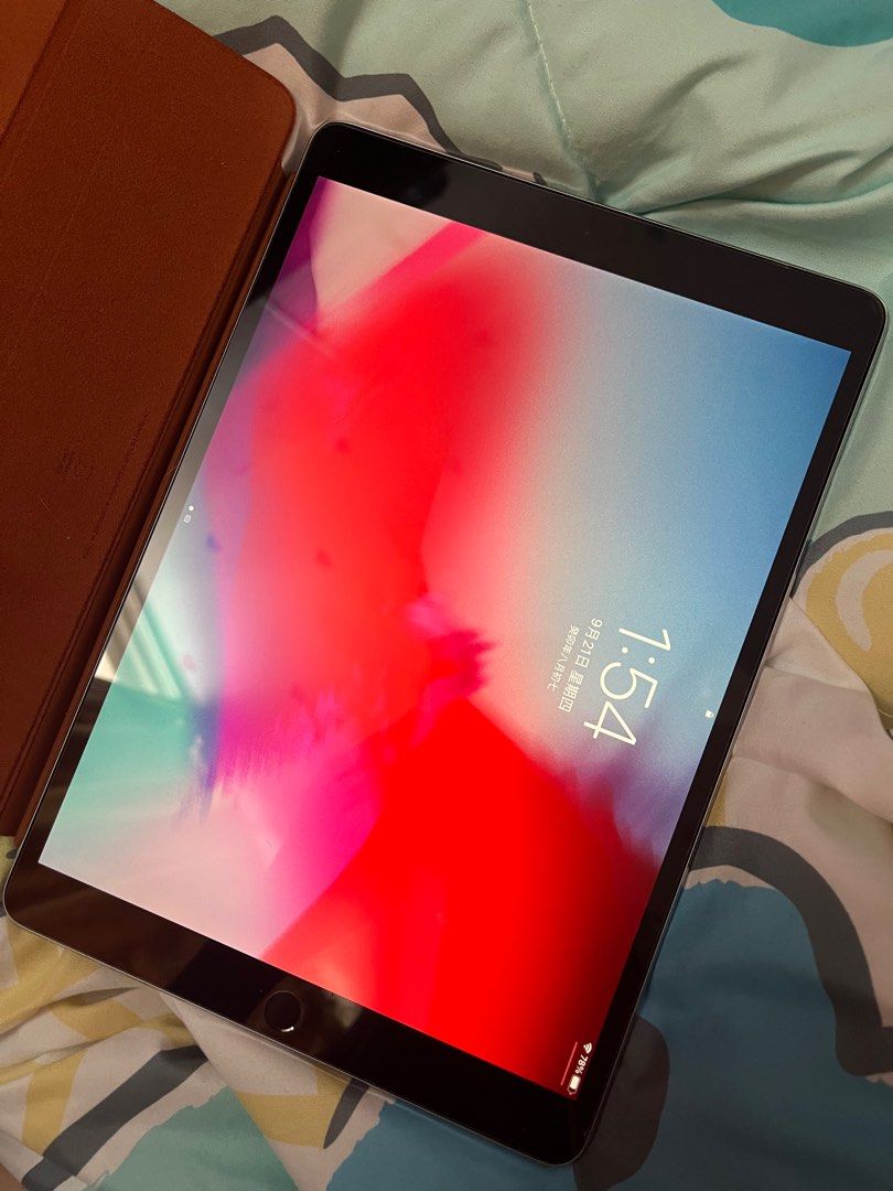 iPad pro 10.5inch 女々し 256GB Apple care+加入 