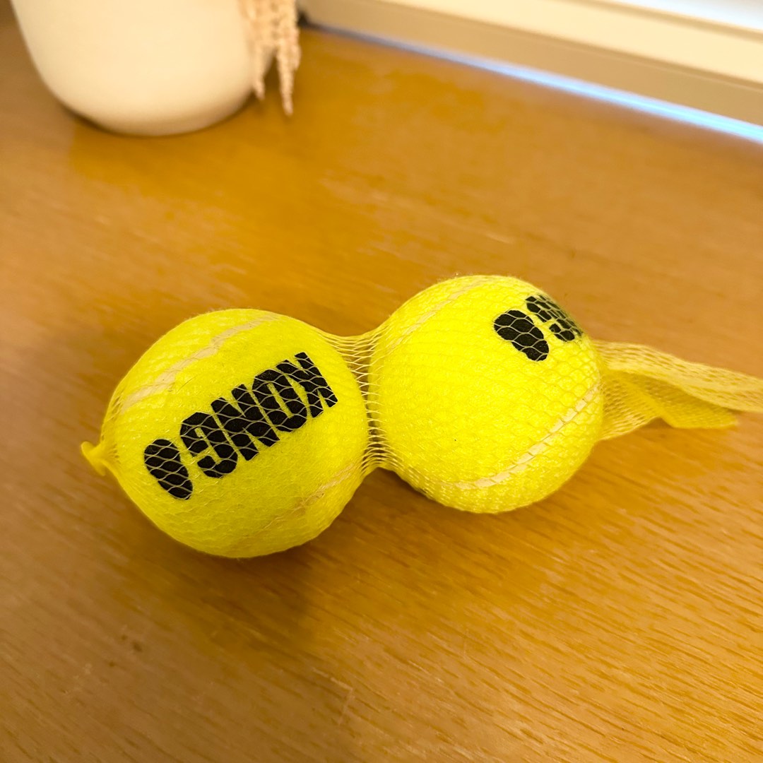 Kong shop orange ball