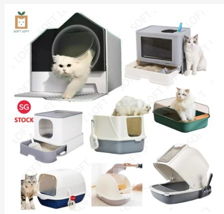 Big cat little box discount