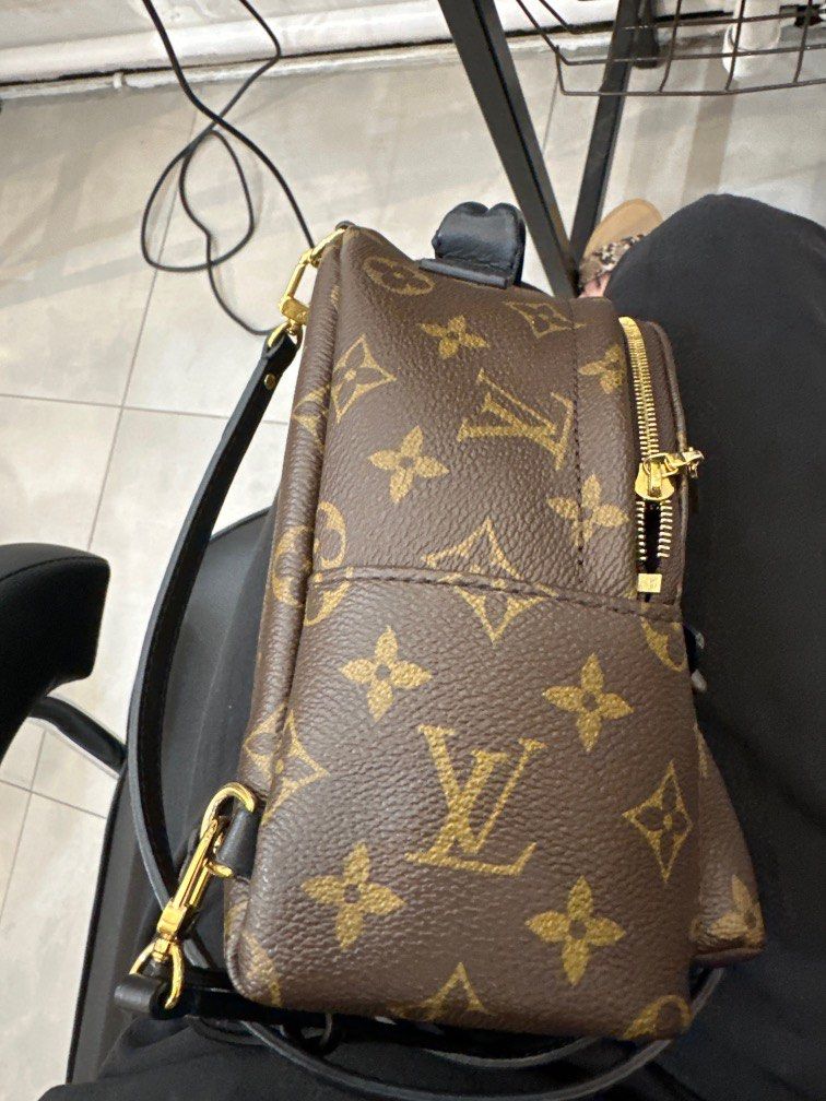 Louis Vuitton Monogram Canvas Palm Springs Mini Backpack - Handbag | Pre-owned & Certified | used Second Hand | Unisex