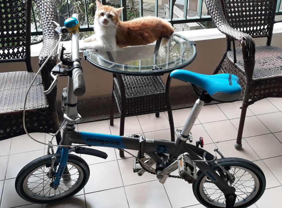 Mongoose 14 inch bike store