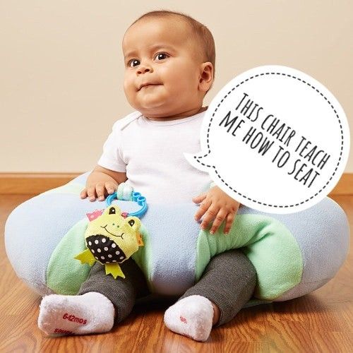 Hugaboo infant sitting chair top