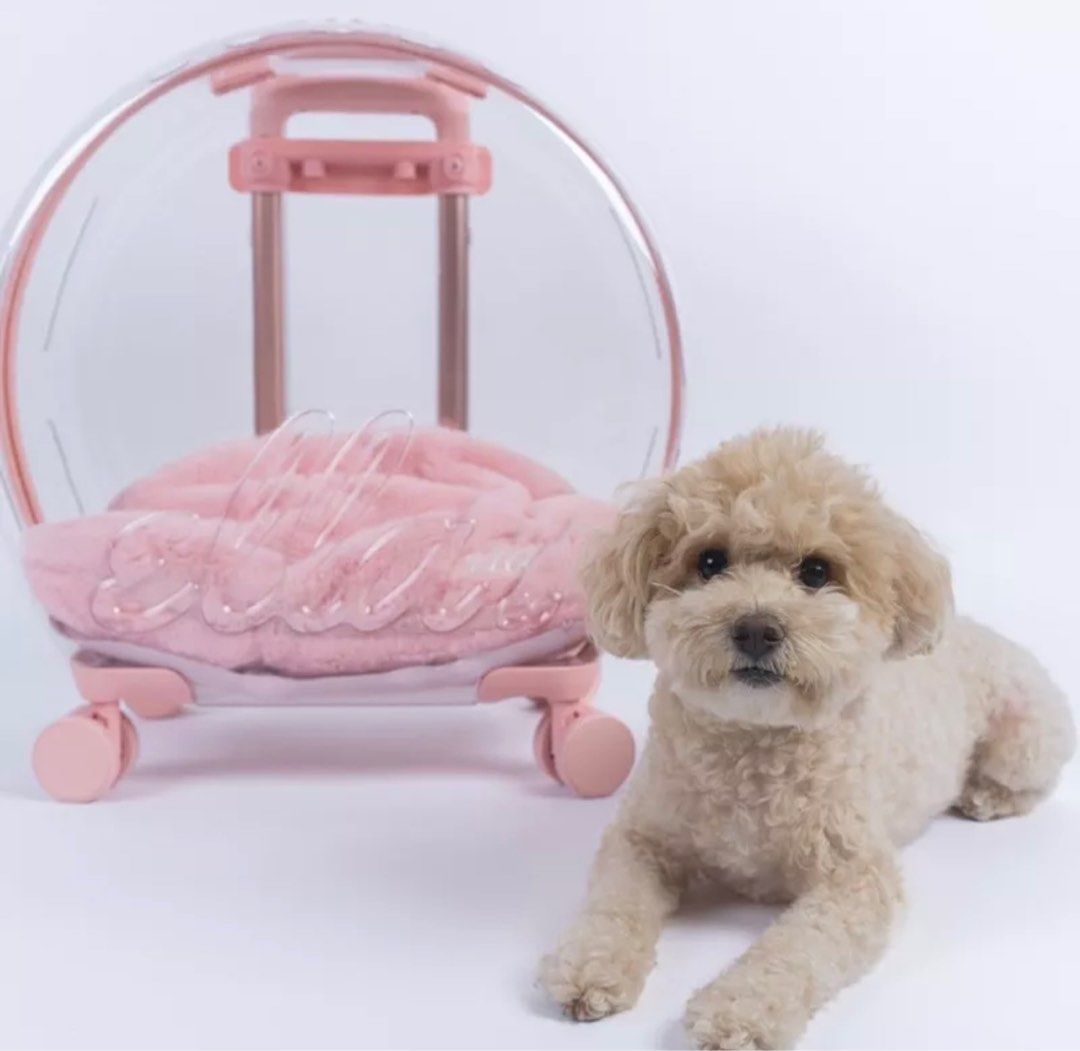 pet-carrier-luggage-pet-supplies-homes-other-pet-accessories-on