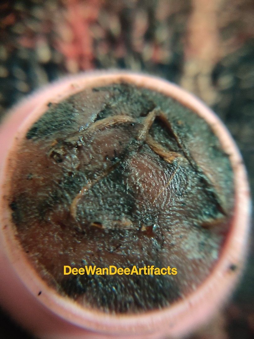 Siphueng Prai Mae Kalong 2563, Hobbies & Toys, Memorabilia