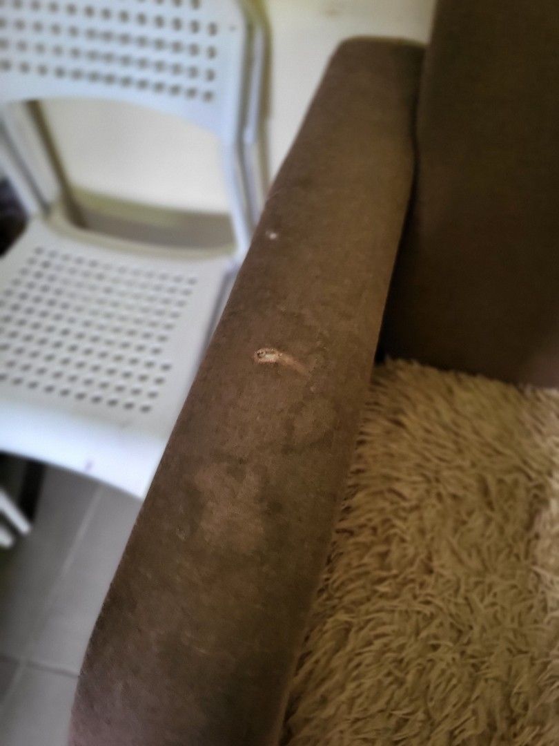 Sofa (Category: Sofas) located in Telok Panglima Garang. Submitted by jcy7177 (Listing ID 1256037178, Image 3). Description: 1 + 2 seater.