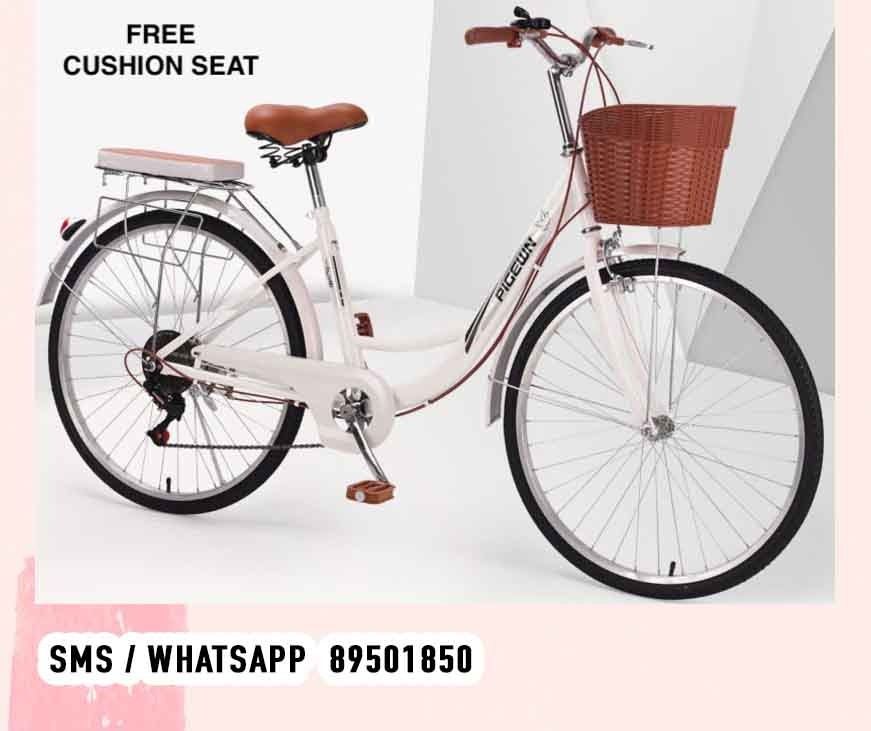womens bicycles 24 inch