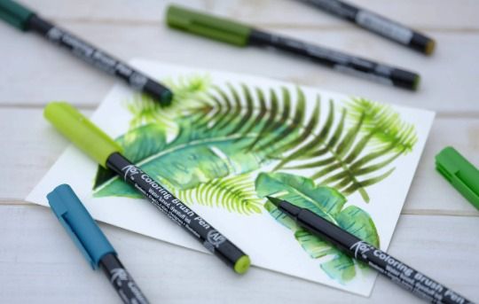 2 PENS | SAKURA KOI COLORING BRUSH PEN | WATER SOLUABLE | COLORLESS ...