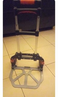 2steps aluminum ladder and trolley(both 1300 pesos)
