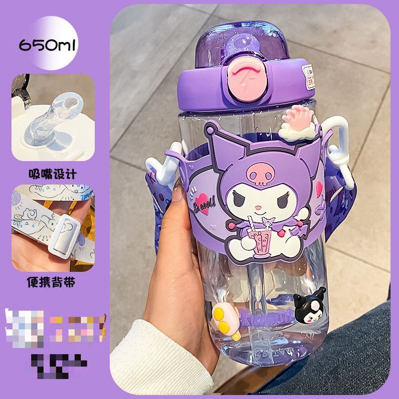 Sanrio Cartoon Water Bottle (650ml) – GoodChoyice