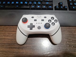 遊戲手把