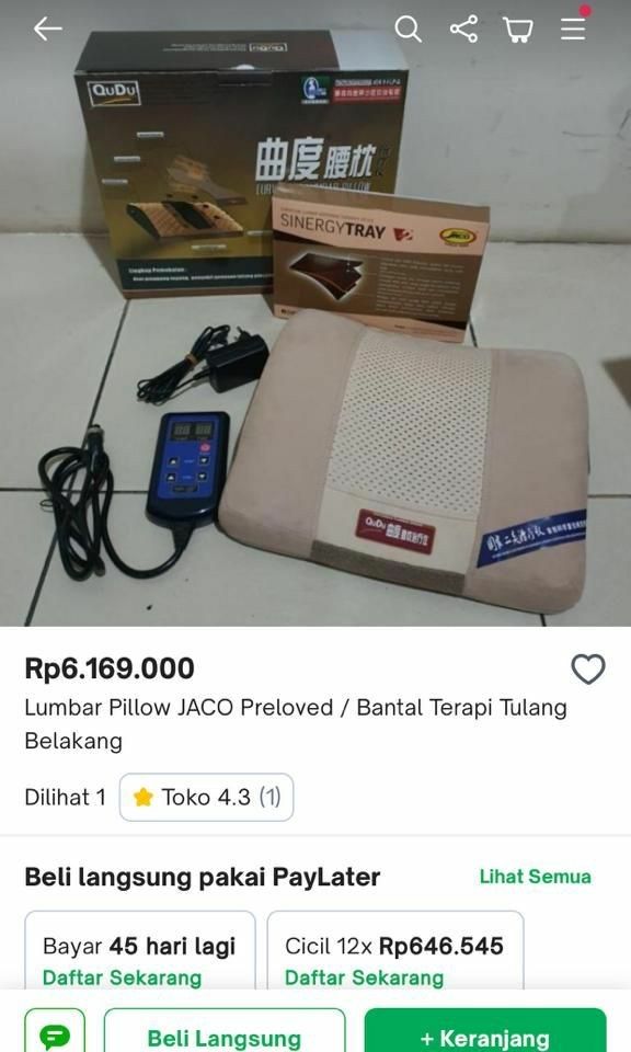 Bantal 2025 lumbar pillow