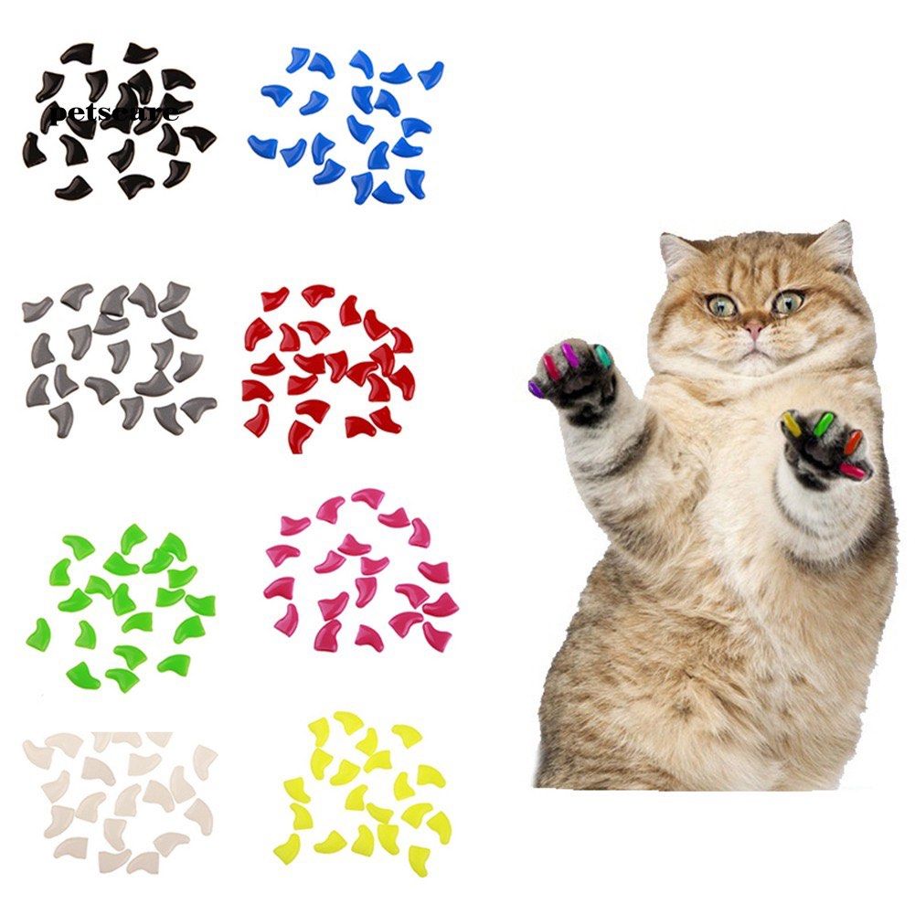 Amazon.com : JOYJULY Soft Cat Kitty Nail Caps Claws Covers for Cats Paws  Grooming Claw Care, 100pcs 4 Size of 1 Glitter Shinning & 4 Solid Colors &  5 Glues (S) : Pet Supplies