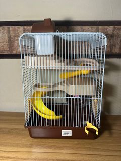 (Category: ) located in . Submitted by 1stcome1st (Listing ID 1256226995, Image 1). Description: .
