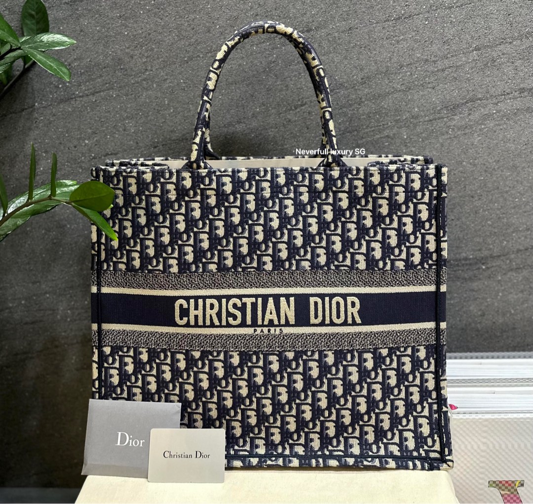 Dior Large Book Tote Bag Large Book Tote Ecru and Blue Dior