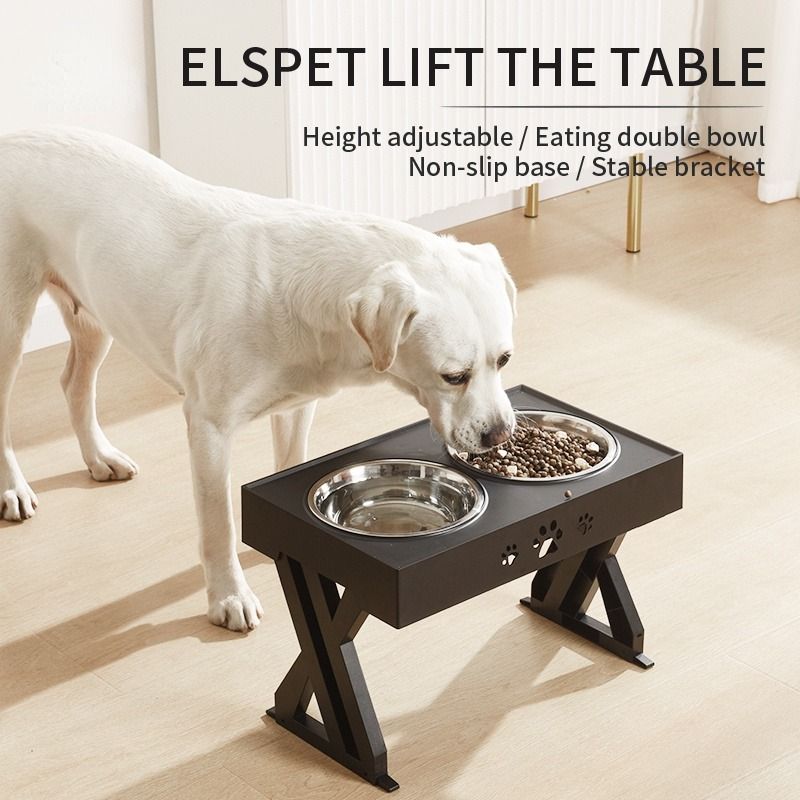 Elevated 2025 water bowl