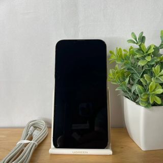 iPhone 13pro