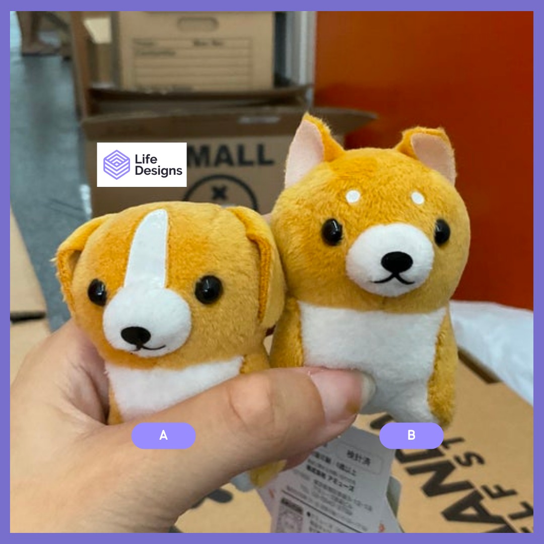 LD Brand New Amuse 6.5cm Mini Dog Plush Shiba Floppy Ear Dog Hobbies Toys Toys Games on Carousell