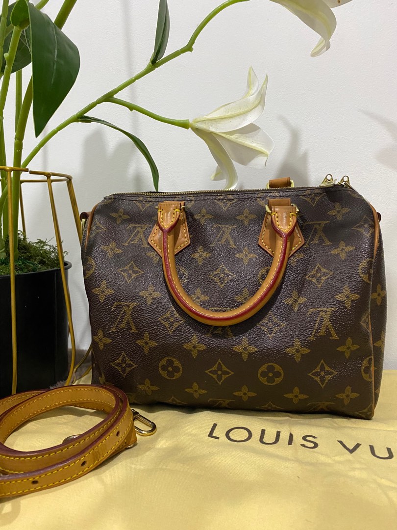 Louis Vuitton Speedy 25 Brown Monogram