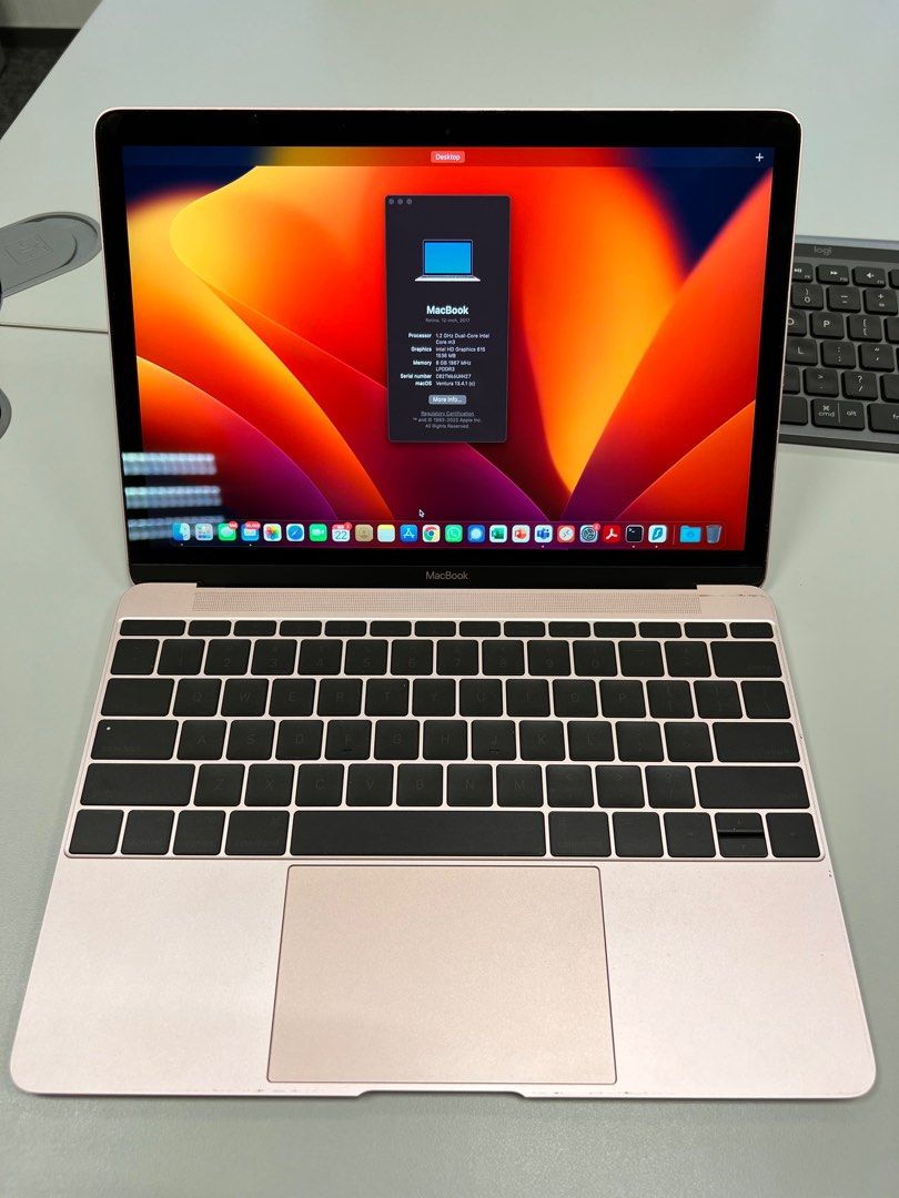 MacBook 2017 12 inch Rose Gold m3+8GB 256GB, 電腦＆科技, 手提電腦